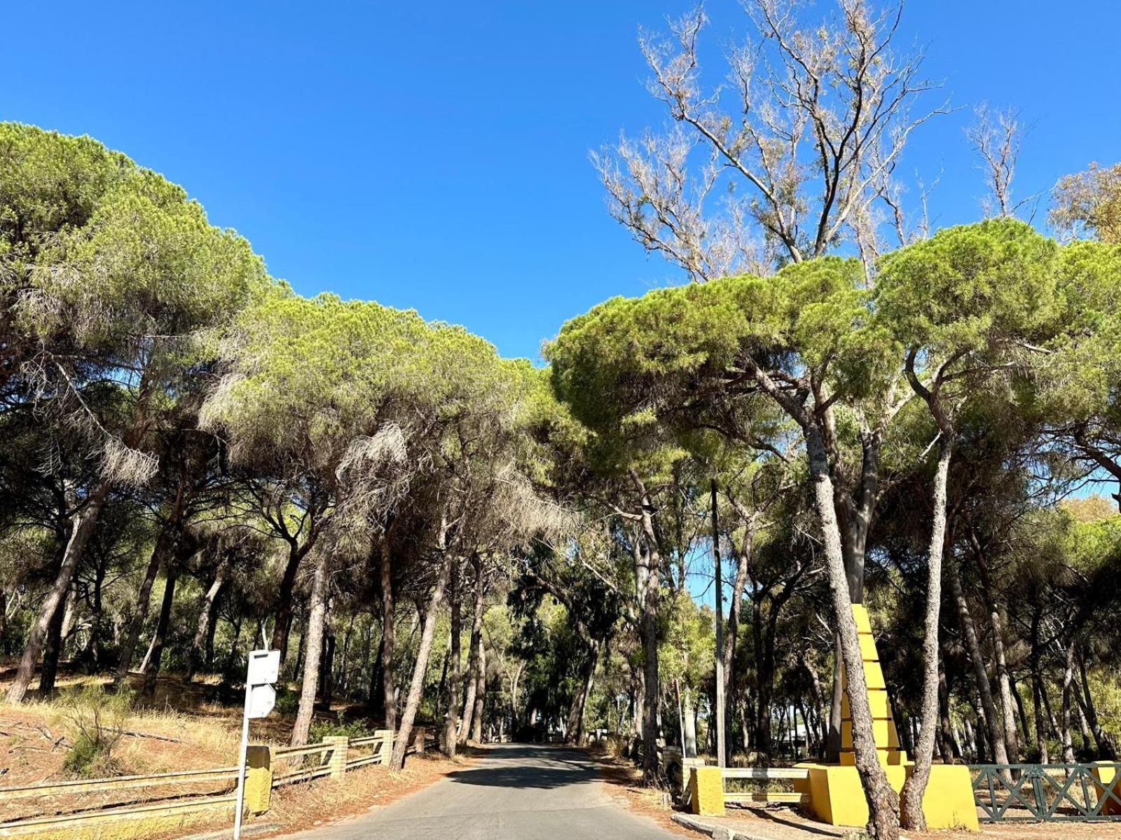 Apartament La Casita Del Mar El Puerto de Santa María Zewnętrze zdjęcie